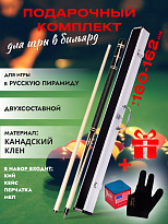 Подарочный комплект из кия бильярдного для РП Favorite Elite A4 двусоставного с кейсом и перчаткой