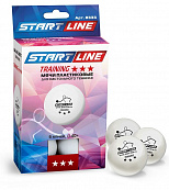 Теннисные мячи TRAINING 3* New - -
